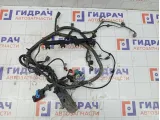 Проводка двигателя Ford Focus 7M5T12A690