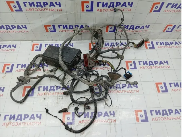 Проводка подкапотная Ford Focus 5M5T14K733