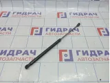 Амортизатор двери багажника Ford Focus 2 1684312