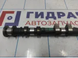 Распредвал впускной Ford Focus 2 5147548