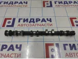 Распредвал впускной Ford Focus 2 5147548
