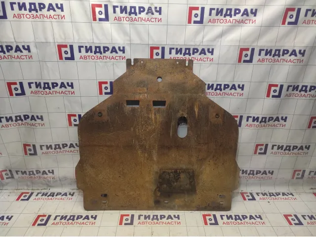 Защита двигателя Ford Focus 2