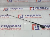 Антенна Ford Focus 2 1087087