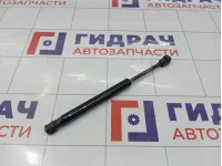 Амортизатор крышки (двери) багажника Ford Focus 2 1692162