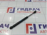 Амортизатор крышки (двери) багажника Ford Focus 2 1692162