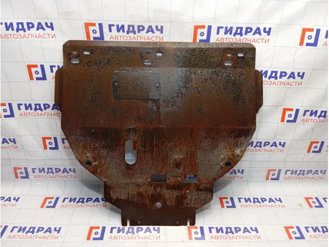 Защита двигателя Ford Focus 2