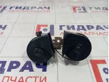 Сигнал Ford Focus