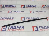 Уплотнитель стекла переднего правого Ford Focus 1523453