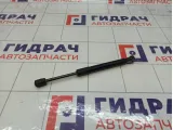 Амортизатор крышки (двери) багажника Ford Focus 1692162