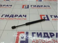 Амортизатор крышки (двери) багажника Ford Focus 1692162