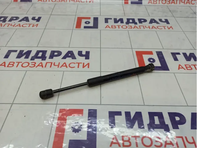 Амортизатор крышки (двери) багажника Ford Focus 1692162