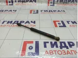 Амортизатор крышки (двери) багажника Ford Focus 1692162