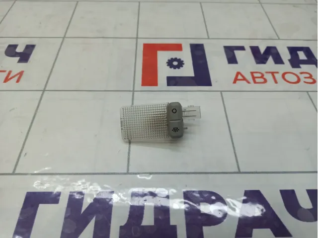 Плафон салонный козырька Ford Focus 1430854