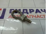 Крюк (петля) буксировочный Ford Focus 1674282