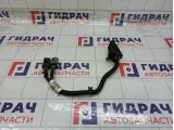 Проводка АКПП, МКПП Ford Focus 4M5T14K039AF