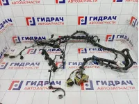 Проводка двигателя Ford Focus BV6T12A690BBC