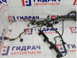 Проводка двигателя Ford Focus BV6T12A690BBC