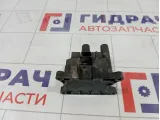 Катушка зажигания Ford Focus 1823596