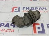 Патрубок воздушного фильтра Ford Focus 1725324