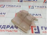 Бачок расширительный Ford Focus 1717053