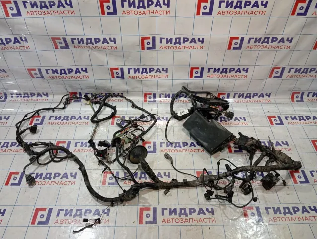 Проводка подкапотная Ford Focus BV6T14K733AAC