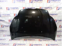 Капот Ford Focus 1797477