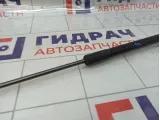 Амортизатор крышки (двери) багажника левый Ford Focus 1747492