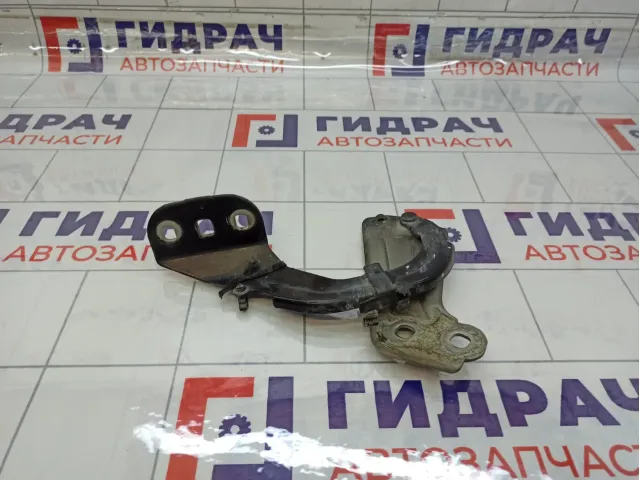 Петля капота правая Ford Focus 1750016