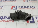 Патрубок воздушного фильтра Ford Focus 1619555