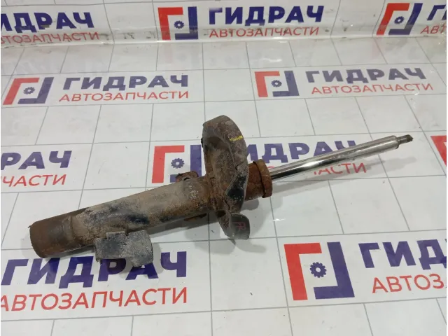 Амортизатор передний передний правый Ford Focus 1595291