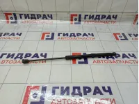 Амортизатор крышки (двери) багажника Ford Focus 1684312