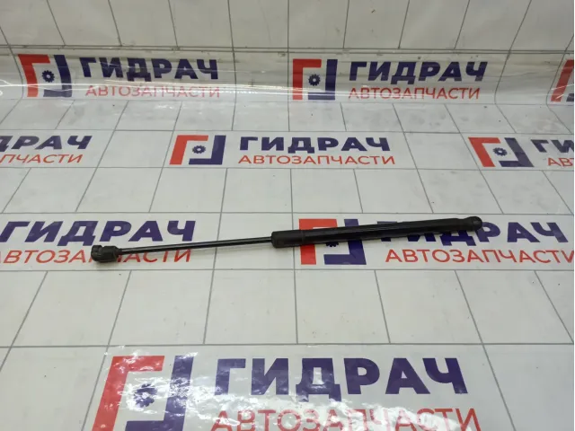 Амортизатор крышки (двери) багажника Ford Focus 1684312