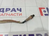 Датчик кислородный/Lambdasonde Ford Focus 3