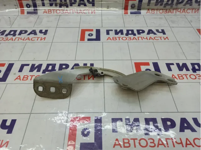 Петля капота правая Ford Focus 3 1750016