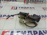 Сигнал звуковой Ford Focus 3