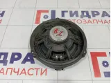 Динамик задний Ford Focus 1702794