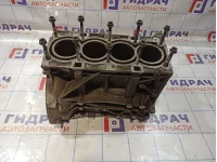 Блок цилиндров Ford Focus 1739149