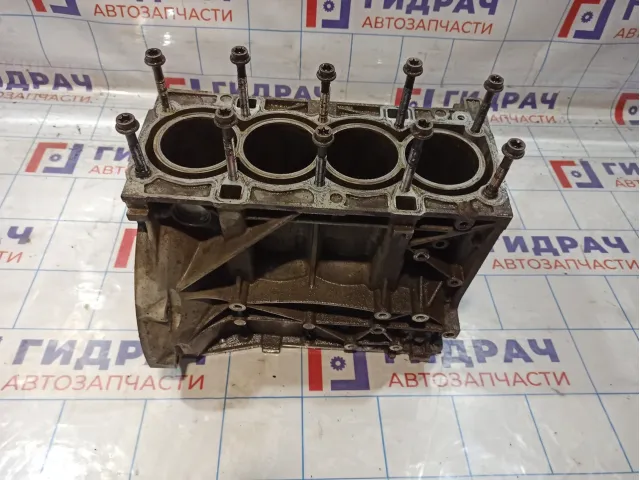 Блок цилиндров Ford Focus 1739149