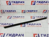 Уплотнитель стекла переднего правого Ford Focus 3 1747502