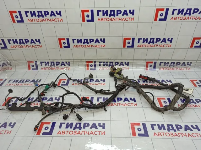 Проводка двигателя Ford Focus 3 BV6T12A690BBC