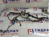 Проводка двигателя Ford Focus 3 BV6T12A690BBC