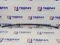 Молдинг крыши левый Ford Focus