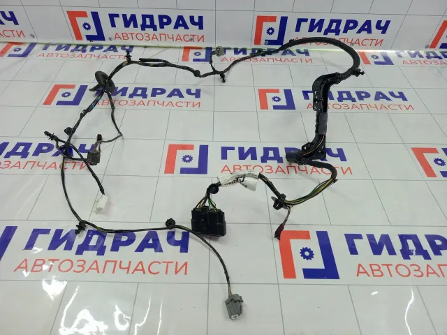 Проводка крышки (двери) багажника Ford Focus BV6T17N400