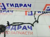 Проводка крышки (двери) багажника Ford Focus BV6T17N400