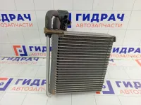 Испаритель кондиционера Ford Focus AV6N19849AB