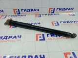 Амортизатор задний Ford Focus BV6118080AAG