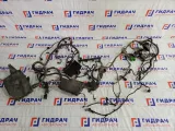 Проводка подкапотная Ford Focus BM5T14K733