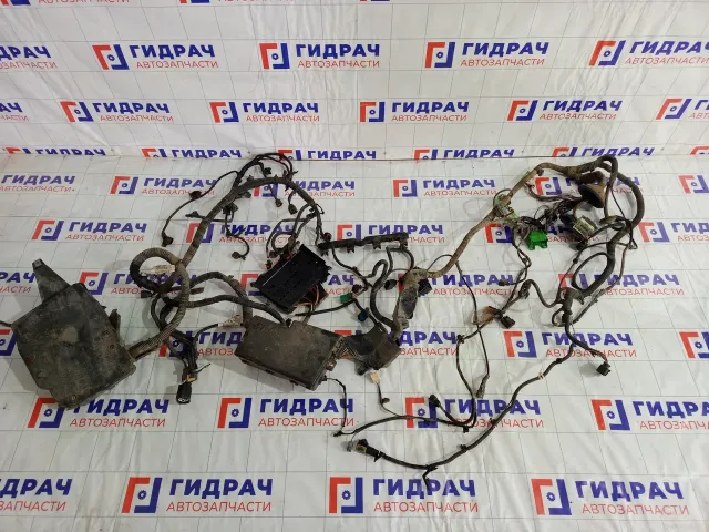 Проводка подкапотная Ford Focus BM5T14K733