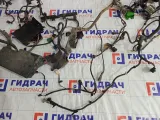 Проводка подкапотная Ford Focus BM5T14K733