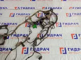 Проводка подкапотная Ford Focus BM5T14K733